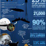 Ocean and Marine Life Facts