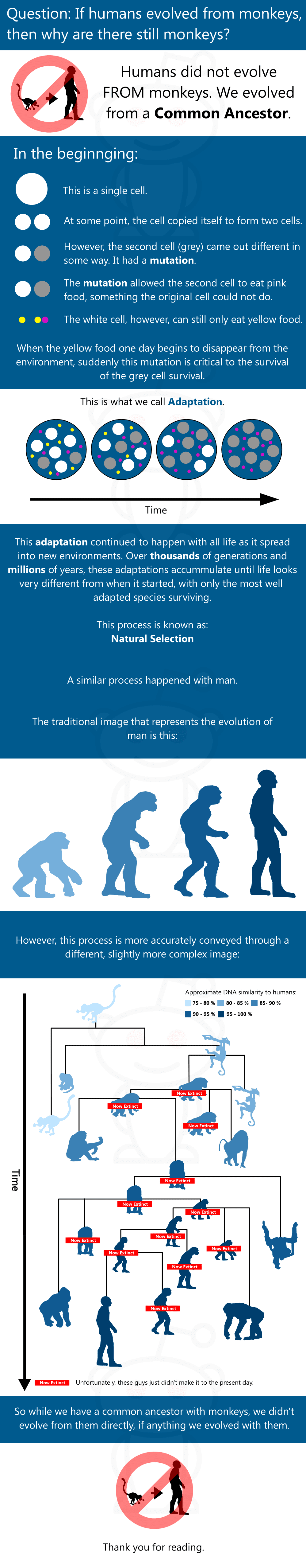 Evolution Explained