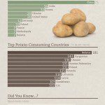 History of the Potatoe