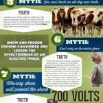 Myths About Electric Fences