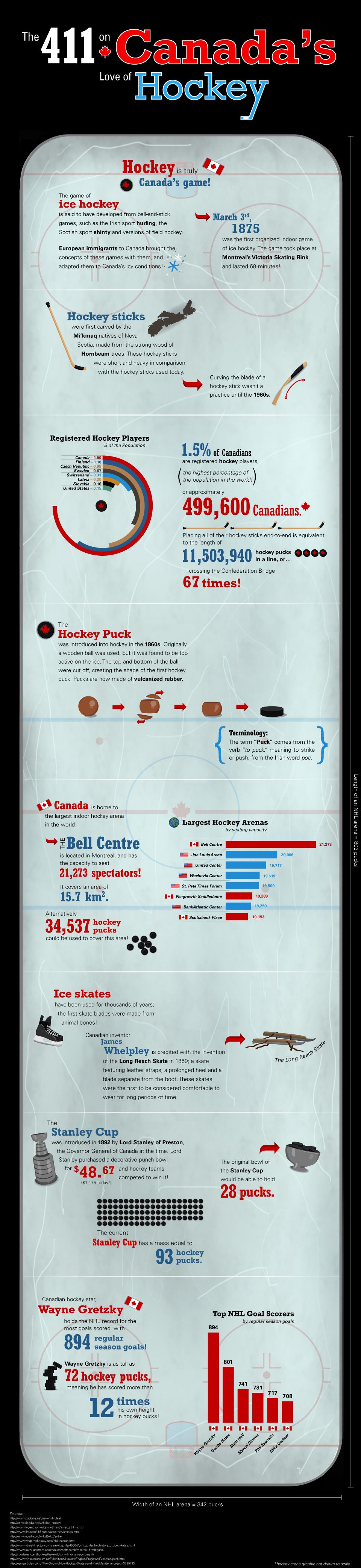 Facts About Hockey