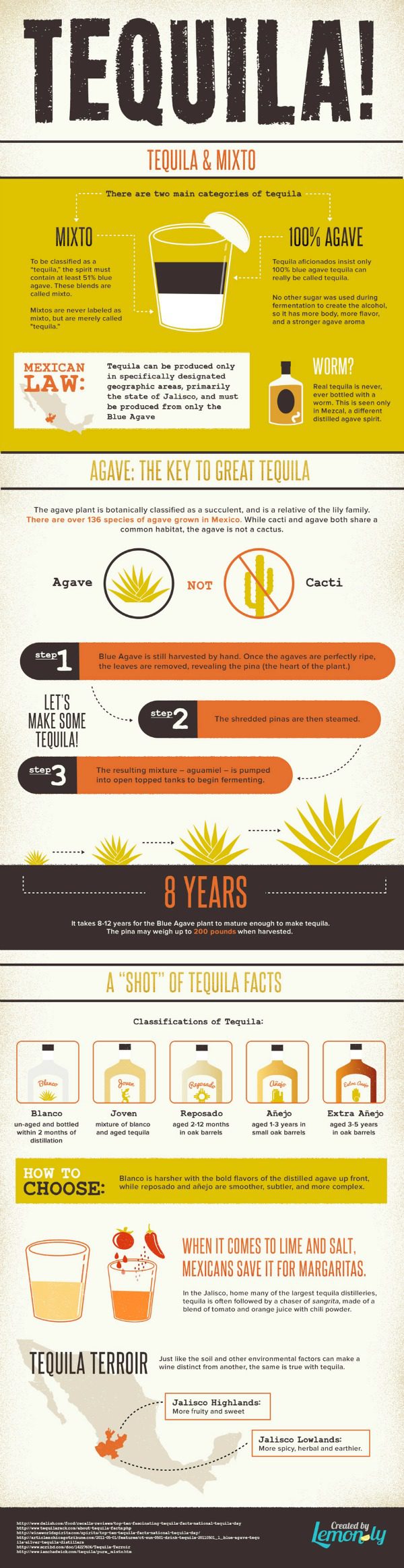 Tequila Facts and Statistics