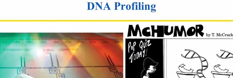 Pros and Cons of DNA Profiling