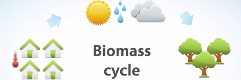 Pros and Cons of Biomass Energy