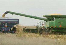 Pros and Cons of Agricultural Subsidies Pros and Cons of Agricultural Subsidies