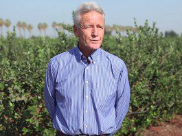 Pros and Cons of Conventional Farming