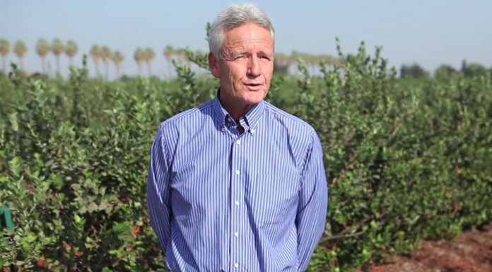 Pros and Cons of Conventional Farming Pros and Cons of Conventional Farming