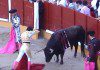Pros and Cons of Bullfighting Pros and Cons of Bullfighting