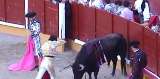Pros and Cons of Bullfighting
