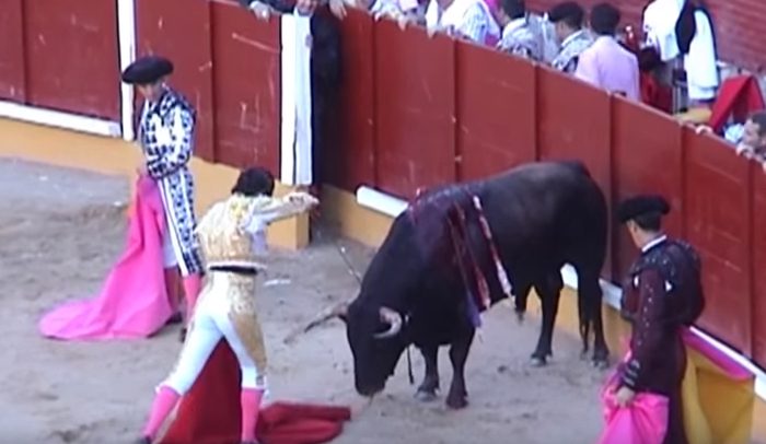 Pros and Cons of Bullfighting