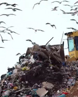 Pros and Cons of Recycling Pros and Cons of Recycling