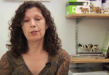 Pros and Cons of Caffeine Pros and Cons of Caffeine