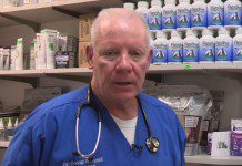 Pros and Cons of Dog Neutering Pros and Cons of Dog Neutering