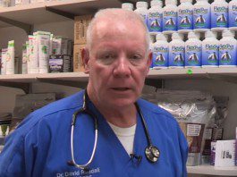 Pros and Cons of Dog Neutering