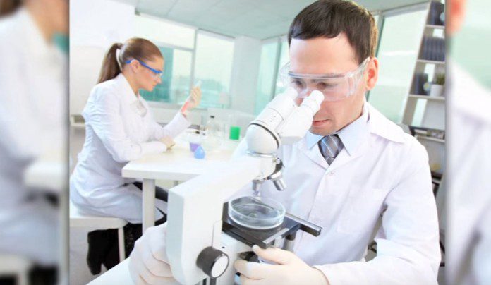 Pros and Cons of Drug Testing in the Workplace