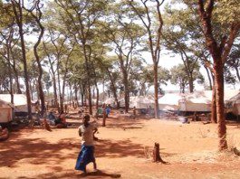 10 Stunning Nyarugusu Refugee Camp Facts and Statistics