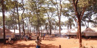 10 Stunning Nyarugusu Refugee Camp Facts and Statistics