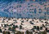 6 Staggering Effects of Overpopulation