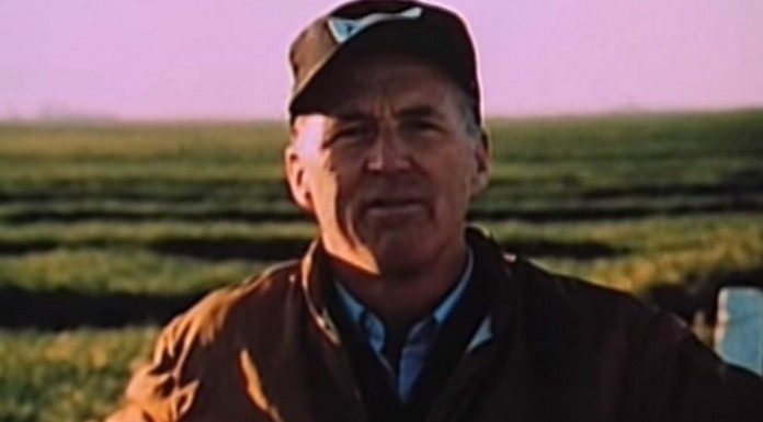 Pros and Cons of Green Revolution Pros and Cons of Green Revolution