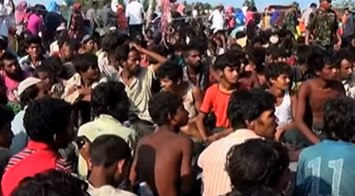 8 Woeful Rohingya Refugees Facts and Statistics 8-woeful-rohingya-refugees-facts-and-statistics