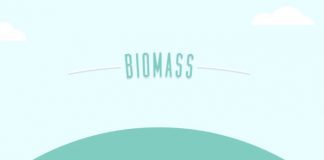 10-biomass-advantages-and-disadvantages