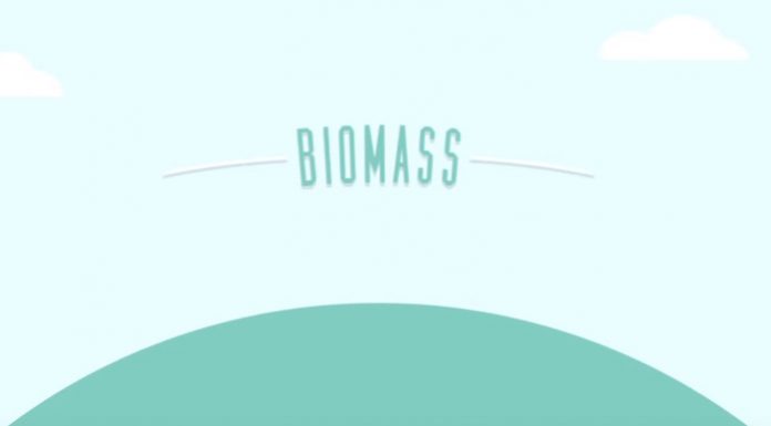10-biomass-advantages-and-disadvantages