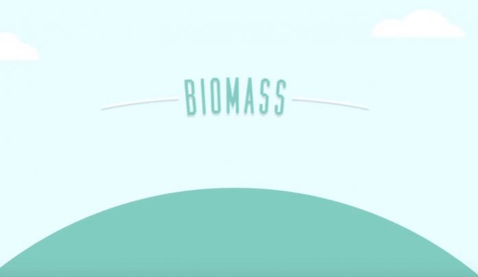 10-biomass-advantages-and-disadvantages