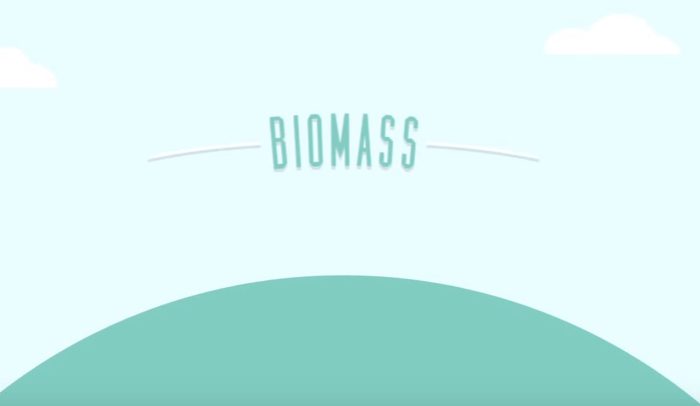 10-biomass-advantages-and-disadvantages