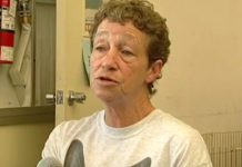 4-solutions-to-animal-abuse