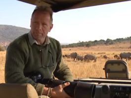 5-solutions-to-poaching