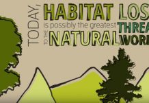 6 Solutions to Habitat Destruction 6-solutions-to-habitat-destruction