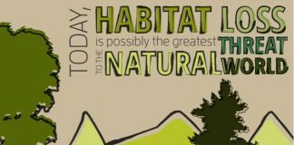 6-solutions-to-habitat-destruction