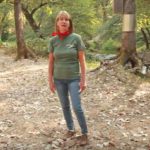 5 Soil Erosion Prevention Methods 5-soil-erosion-prevention-methods