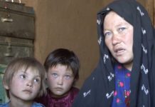 Maternal Mortality Rate Afghanistan maternal-mortality-rate-afghanistan