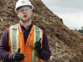 where-does-biomass-come-from