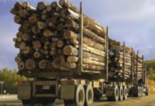 What are the Consequences of Deforestation