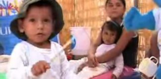Staggering Malnutrition in Peru Statistics and Facts