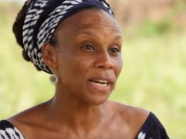 6 Solutions for Deforestation