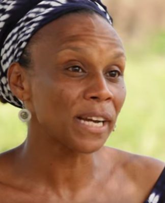 6 Solutions for Deforestation