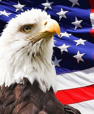 BIG SOLUTION: Shop with Patriots and Ditch Big Box Stores Now!