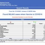 1.vaers-vaccine-injury-december-17-1024×825